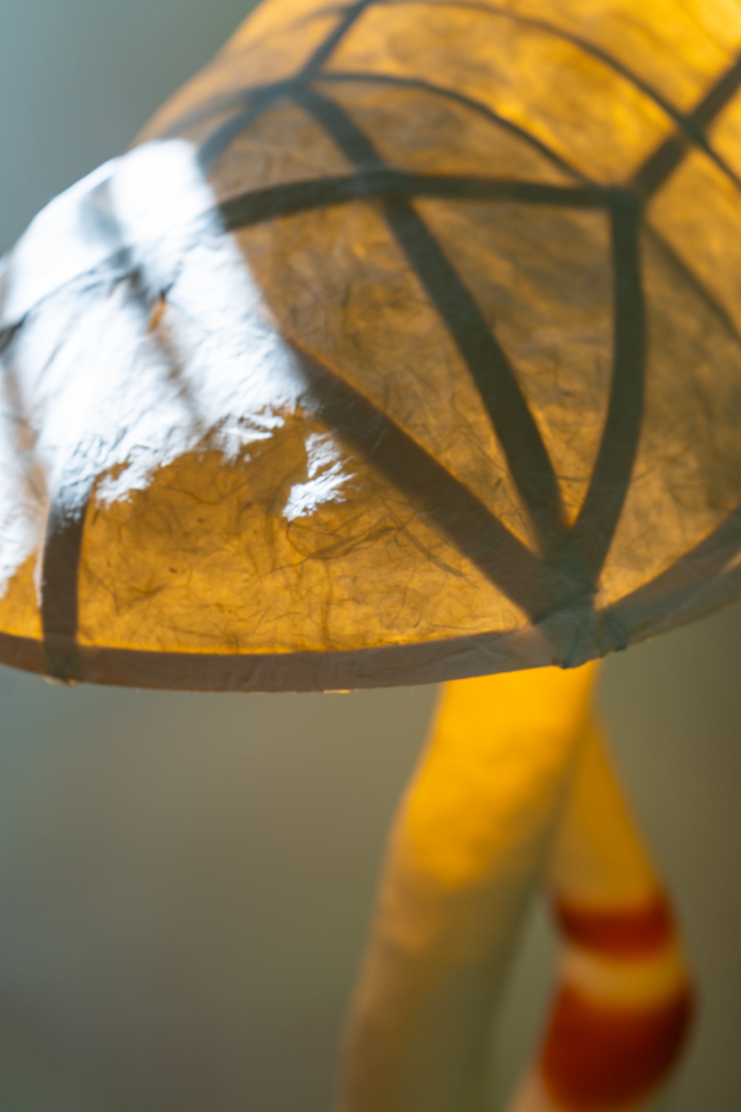 Red Desert Floor Lamp