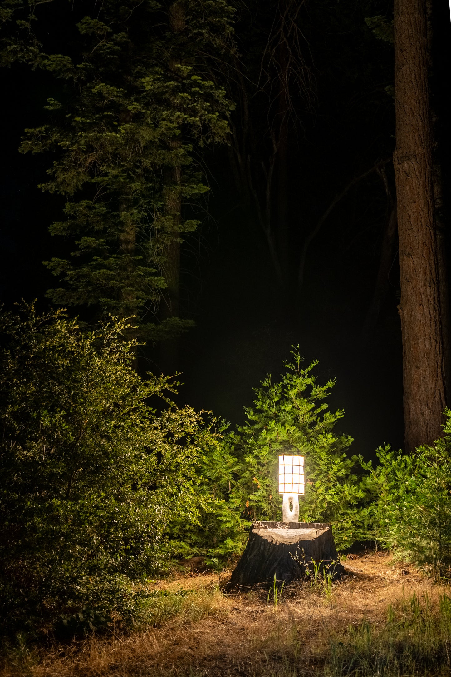 Hollow Lamp