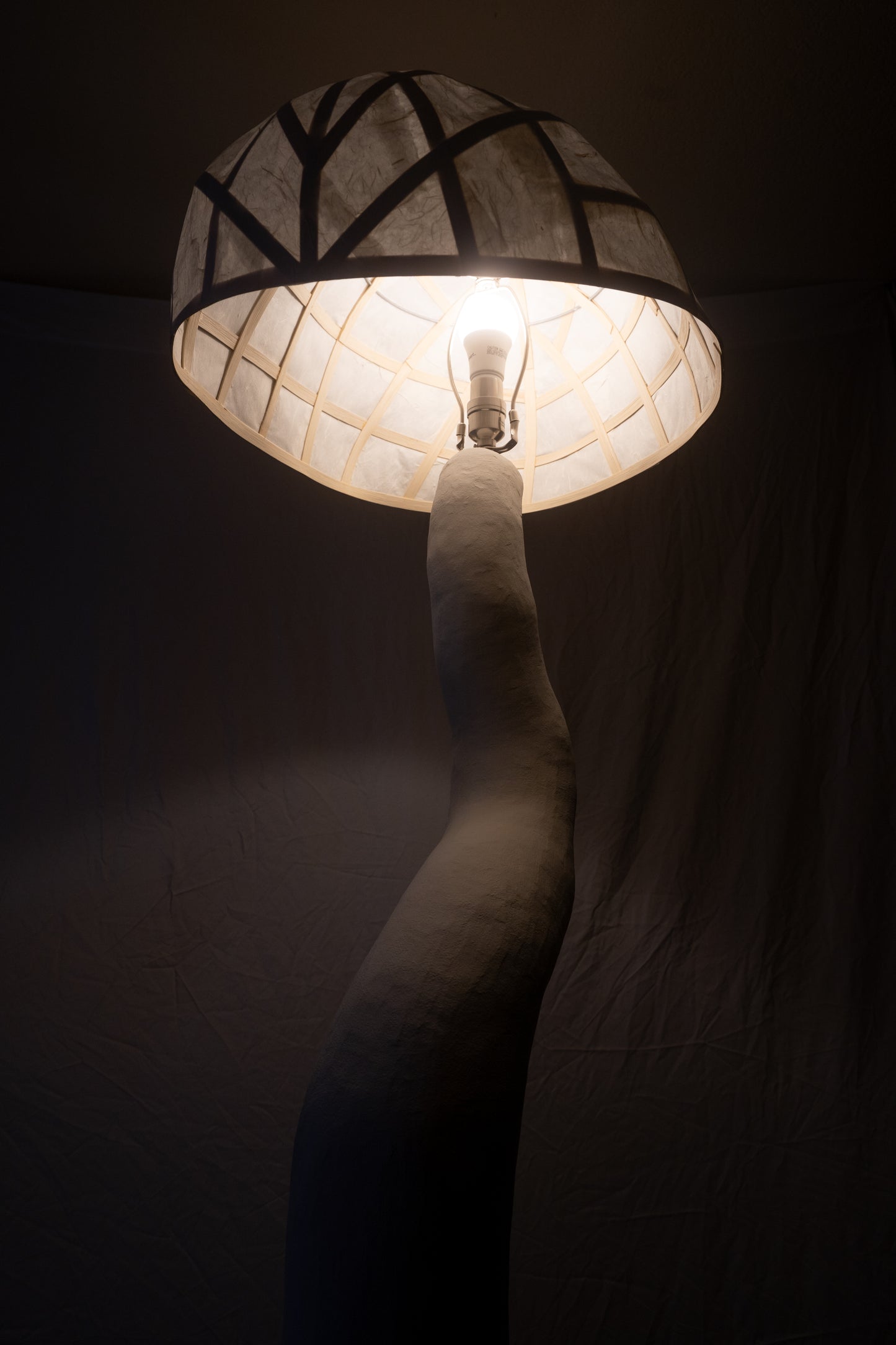 Meander Floor Lamp