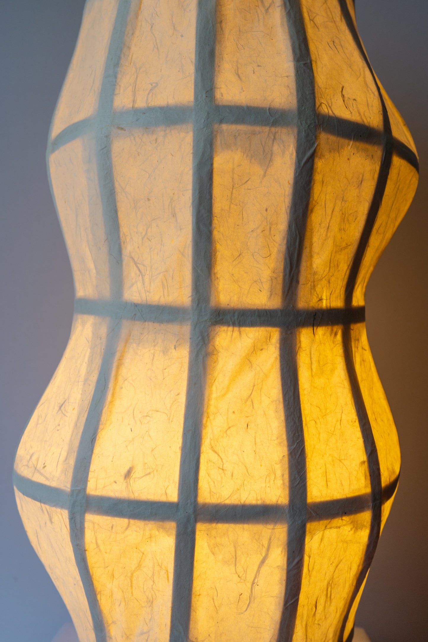 Chrysalis Lamp