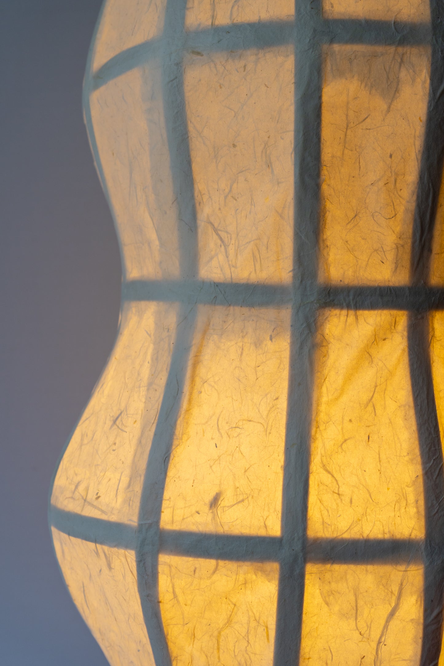Chrysalis Lamp