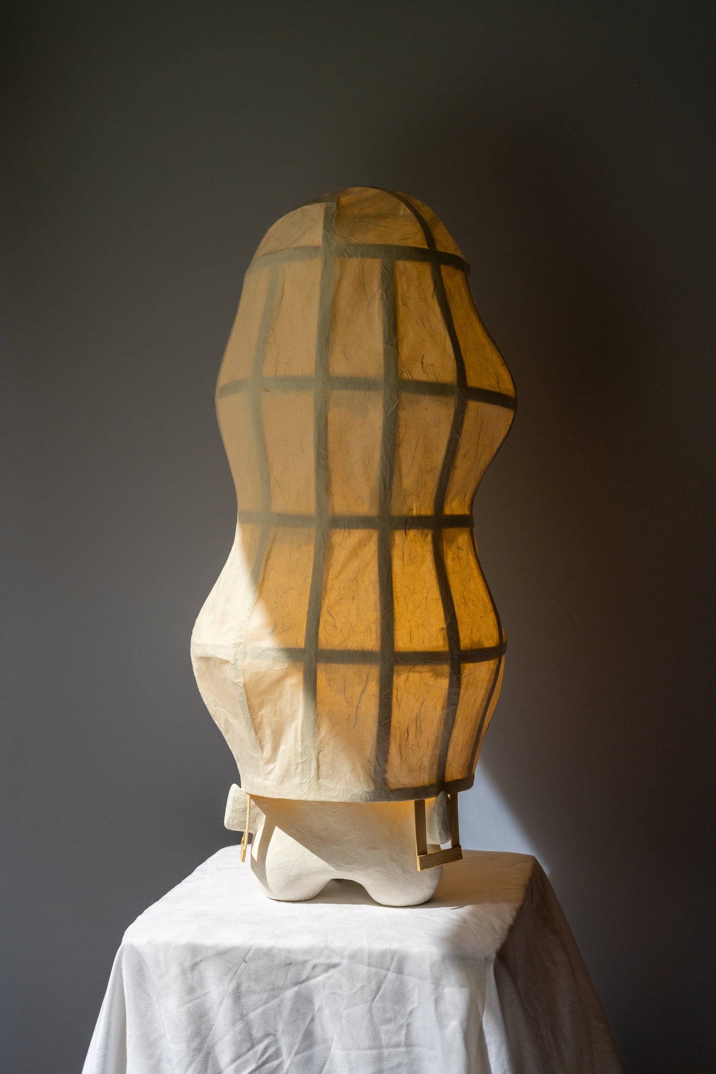 Chrysalis Lamp