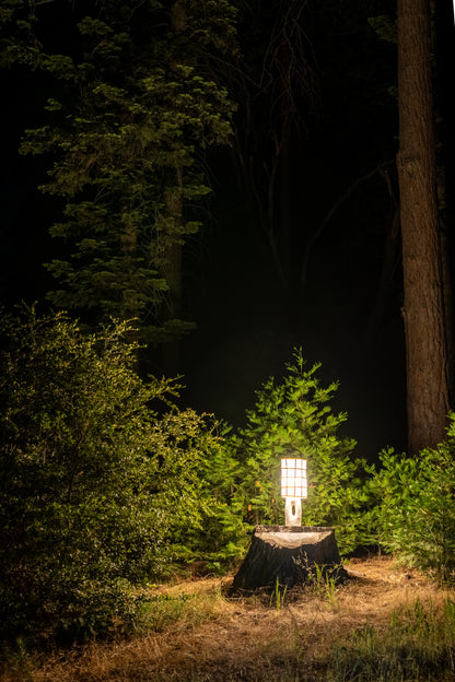 Hollow Lamp