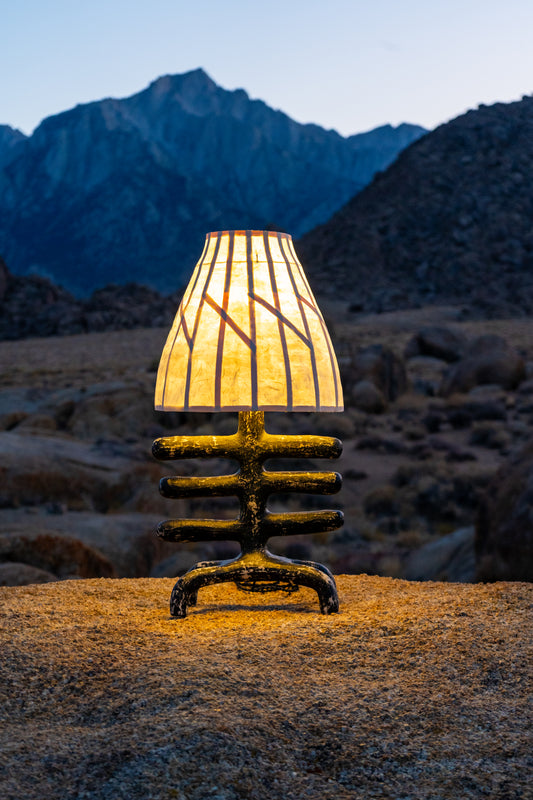 SL20 Lamp