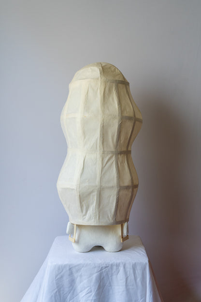 Chrysalis Lamp