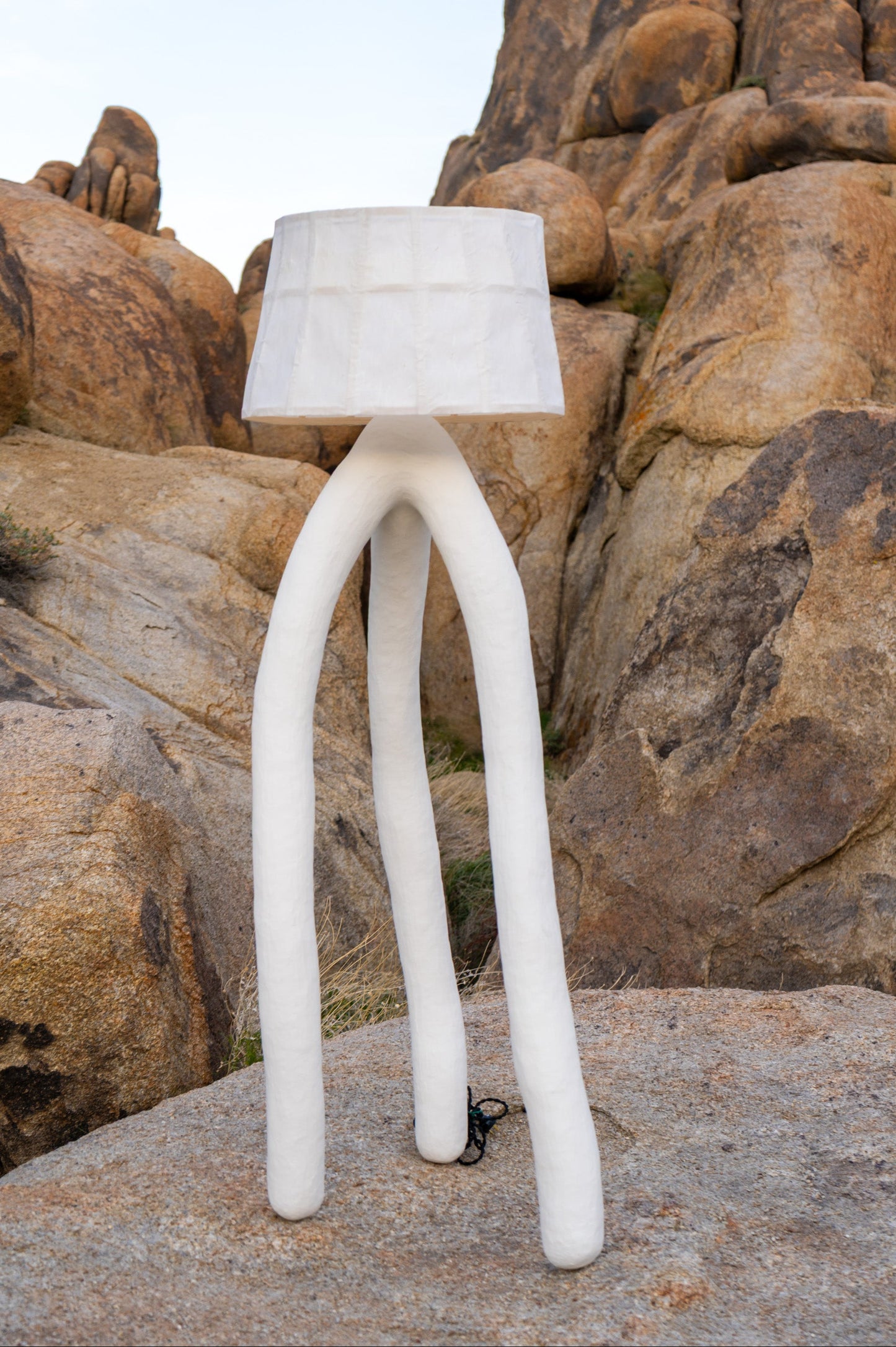 Daddy Long Lamp
