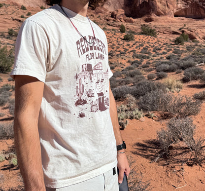 Man standing in a desert landscape with red rock formations and clear blue sky.